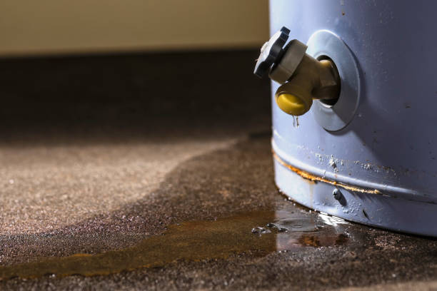 Best Flood damage cleanup  in Columbia City, OR