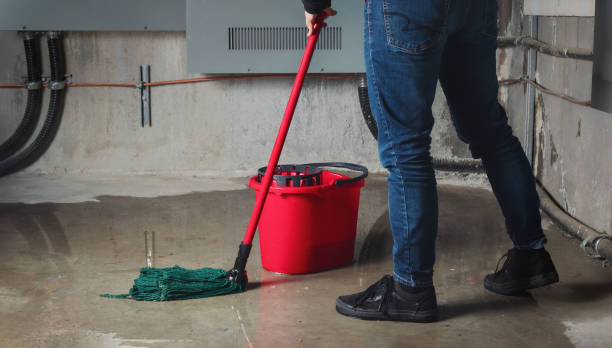 Best Water damage restoration near me  in Columbia City, OR