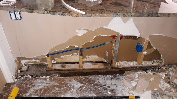 Best Mold removal after water damage  in Columbia City, OR