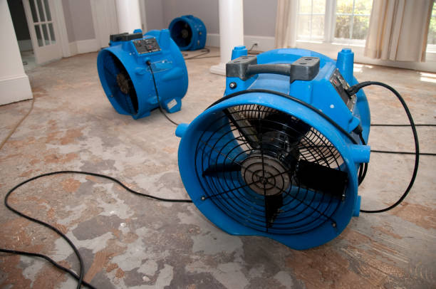 Best Carpet water damage restoration  in Columbia City, OR