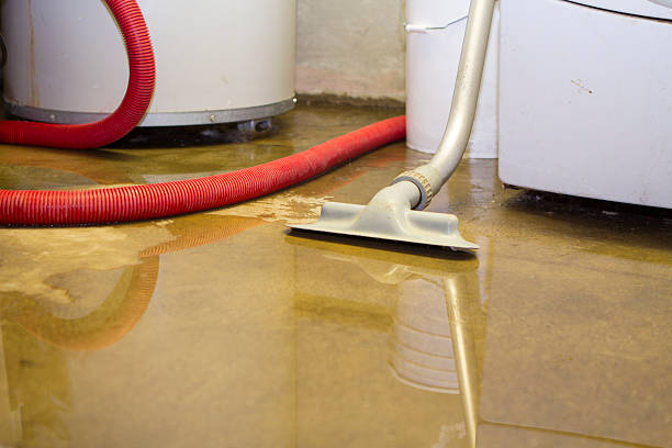 Best Local water damage restoration  in Columbia City, OR
